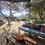 Tizzano, Vue Avec Piscine