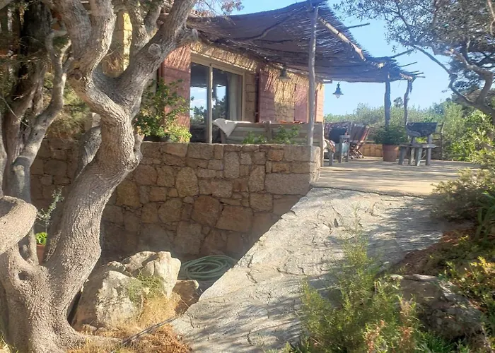 Holiday home Tizzano, Vue Avec Piscine *