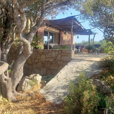 Holiday home Tizzano, Vue Avec Piscine *