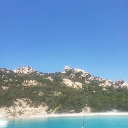 Tizzano, Vue Avec Piscine Sartène