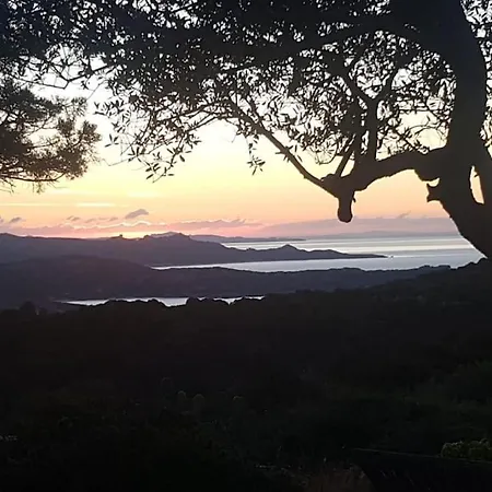 Tizzano, Vue Avec Piscine