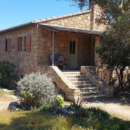 Tizzano, Vue Avec Piscine Σπίτι διακοπών