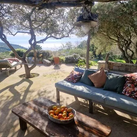 Tizzano, Vue Avec Piscine