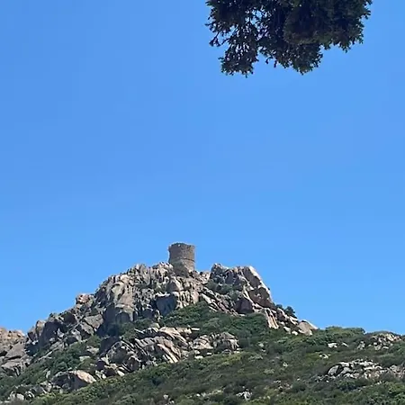 Tizzano, Vue Avec Piscine Sartène