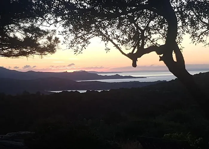 Tizzano, Vue Avec Piscine