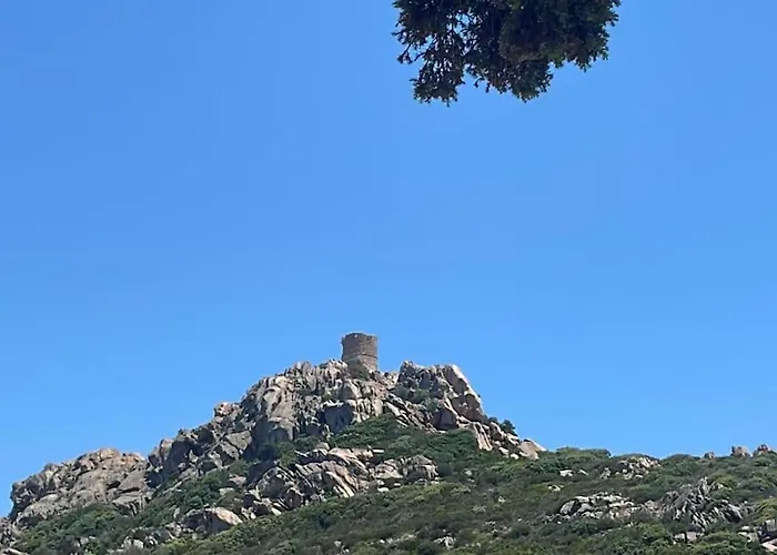 Tizzano, Vue Avec Piscine Sartène